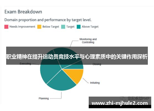 职业精神在提升运动员竞技水平与心理素质中的关键作用探析